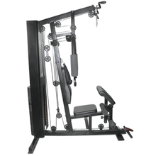 Load image into Gallery viewer, Lifespan Cortex SS2 Single Station Gym