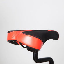 Load image into Gallery viewer, Lifespan Fitness SP-310 Spin Bike
