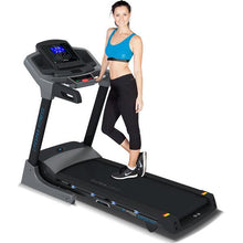 Load image into Gallery viewer, Lifespan Fitness Viper Treadmill
