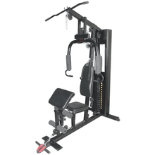 Load image into Gallery viewer, Lifespan Cortex SS2 Single Station Gym
