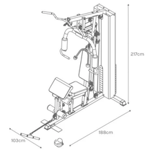 Load image into Gallery viewer, Lifespan Cortex SS2 Single Station Gym
